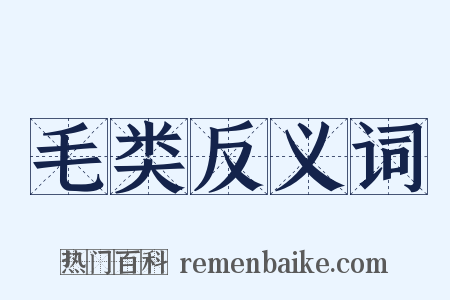 毛类反义词是什么意思的图片